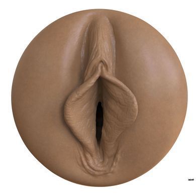 Мастурбатор-вагина Fleshlight Boost Bang Medium Dark Flesh, плавающие кольца Turbo Tech SX1315 фото