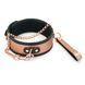 Широкий ошейник с поводком Liebe Seele Rose Gold Memory Collar with Leash, натуральная кожа SO9494 фото 1
