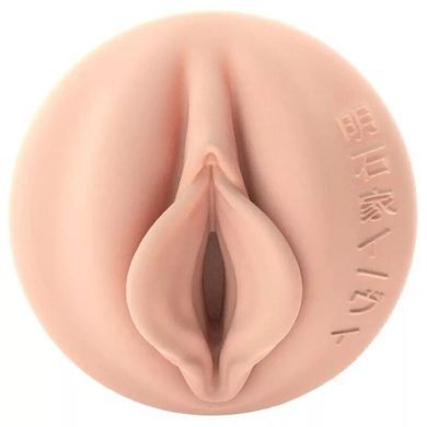 Мастурбатор Fleshlight Fantasy Evie Akashiya Sho Akuma, дуже ніжний, фентезійний канал SX2801 фото