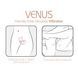 Смарт-вибратор для пар Adrien Lastic Venus + APP, двойной, можно носить под одеждой, 10 режимов SX1283 фото 8