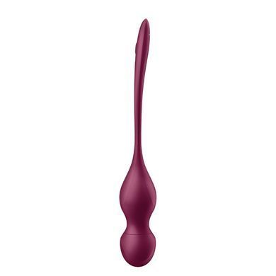 Смарт-вагінальні кульки з вібрацією Satisfyer Love Birds Vary Connect App, змінювана маса, пульт ДК SX1216 фото