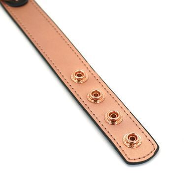 Ошейник с зажимами для сосков Liebe Seele Rose Gold Memory Collar with Nipple Clamps, кожа SO9495 фото