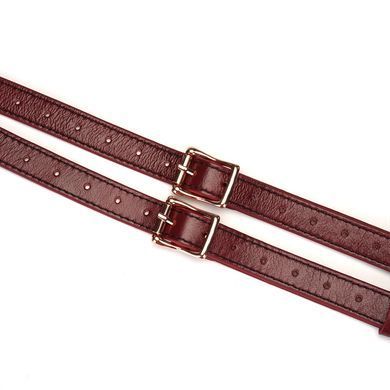 Кожаные трусы для страпона Liebe Seele Wine Red Strap on Harness, универсальный размер SO9464 фото