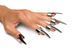 Набір кілець з кігтями Master Series Five-Piece Sensation Claw Rings - Silver (м'ята упаковка!!!) SX1191-R фото 1