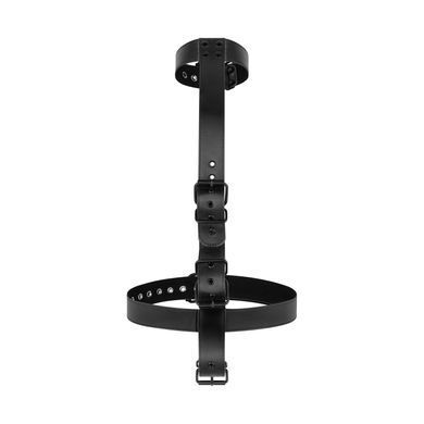 Фіксатор для рук та шиї Bedroom Fantasies: Seductive Straps Body Restraint Set SO8811 фото