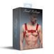 Чоловіча портупея на груди Feral Feelings - Bulldog Harness Red Trasparent SO9306 фото 3