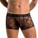 Мужские прозрачные боксеры Passion 032 SHORT JAMES S/M Black, сетка SO7568 фото 1