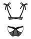 (SALE) Полупрозрачный эротический комплект Obsessive Obsessivia 2pcs set black S/M, бюстгальтер и трусики, SO7297 фото 6