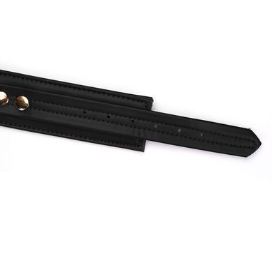 Ошейник с поводком Liebe Seele Black Organosilicon Collar with Leash, экокожа SO9484 фото