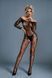 Бодистокинг Caprice Lingerie Model 10 One size Black, кружево, открытый доступ, длинный рукав SO8531 фото 1