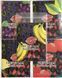 Набор латексных салфеток Latex Dental Dams Assorted 100 шт SX1260 фото 2